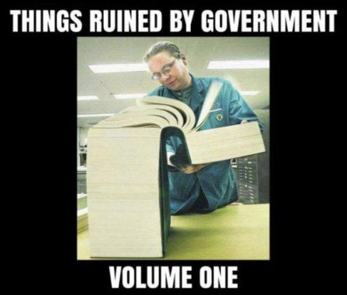 zgovernment102