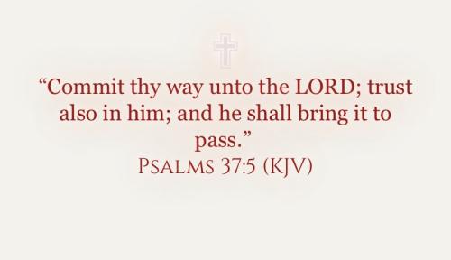 8F2DCA8E-F6A7-44D8-BB01-A51EE65C52F0