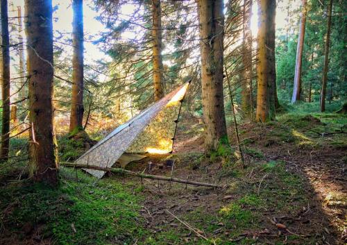 249358973_293392886119452_2065044155593934317_n