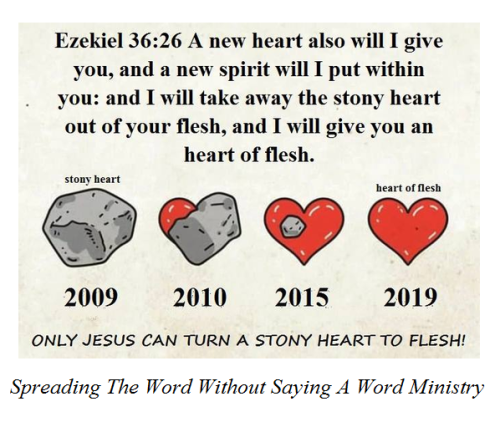 244114291_455361242487547_2599440089024486801_n