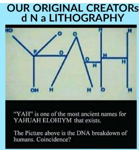 DNA name