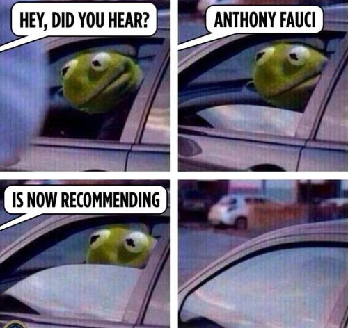 246285550_117889060662492_7423894830954482810_n