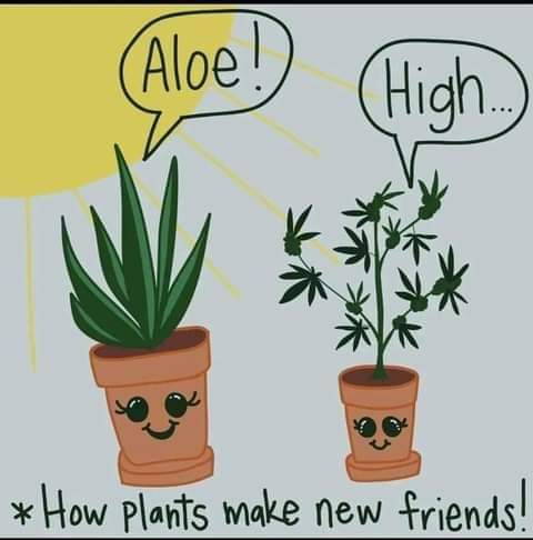 13:46:27 GMT-0400 (EDT)