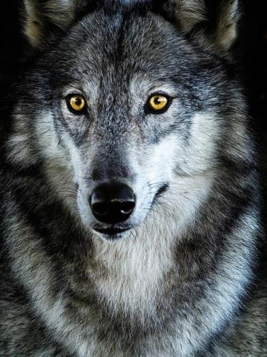 19:23:48 GMT-0500 (CDT)