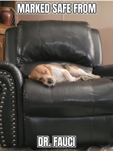 14:42:06 GMT-0400 (EDT).image