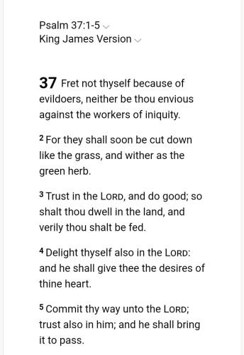 Screenshot_20211028-093049_DuckDuckGo