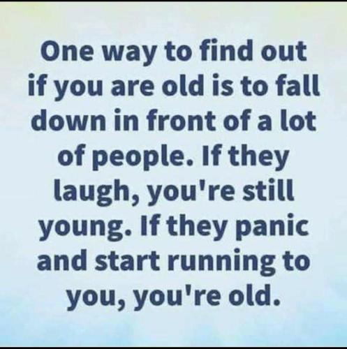 Screenshot_20211020-173620__01