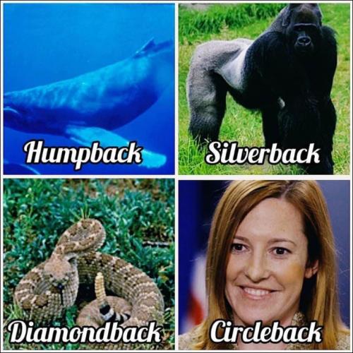 jen psaki31