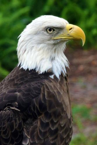 13:19:34 GMT-0500 (CDT)