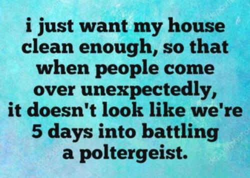 i just want my house clean enough