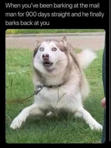 249058353_1028545111312744_6203388835974889388_n