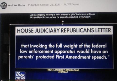 BOY IN SHIRT RAPES GIRL 3