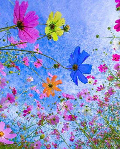 244512960_409614237201251_3807975268171114615_n