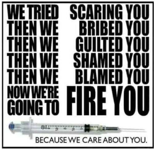 FB_IMG_1633313280119