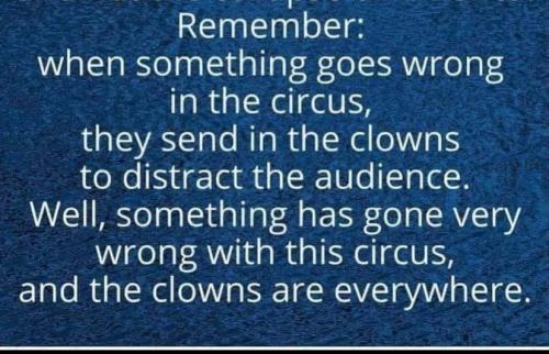 249635436_3050417441902246_7874170822189904456_n