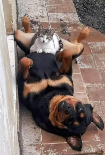 249019164_1914730692032506_8302643981223400141_n