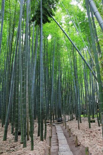 tumblr_nyx9nelyyv1sw6ybho1_540