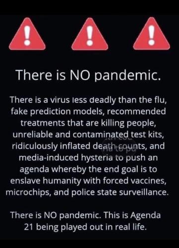 No pandemic