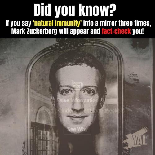 245100578_239197321579819_2041713151511370179_n