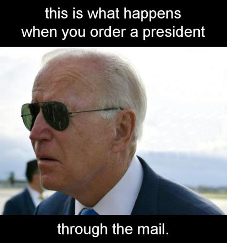 biden739