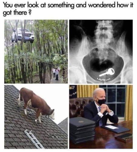 240395154_2162510857220175_8123526776491574121_n