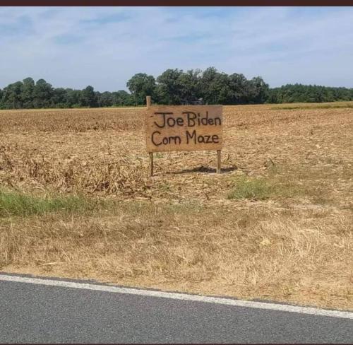 jb corn maze