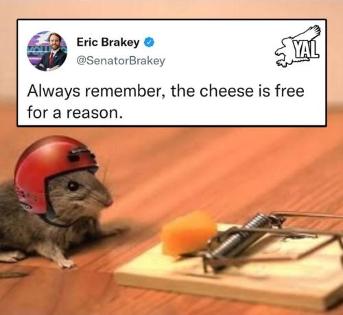 246142384_241866451312906_7570959467753873329_n