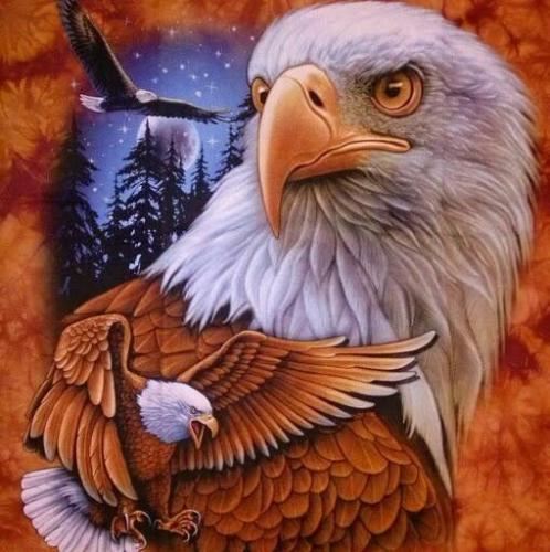 07:14:07 GMT-0500 (CDT)