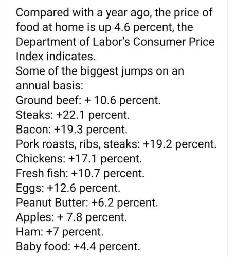 245406368_1309315079526111_5750698303199400200_n
