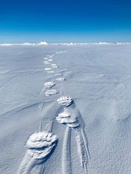 08:07:28 GMT-0800 (AKDT).image