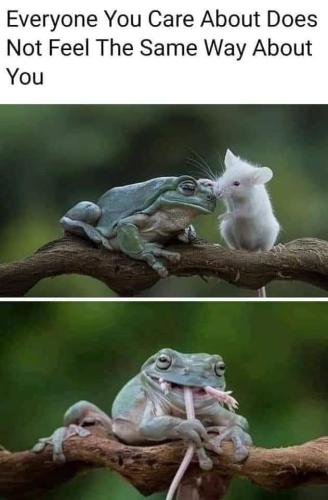 received_480193523207511