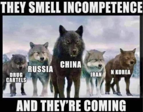 FB_IMG_1635374608225