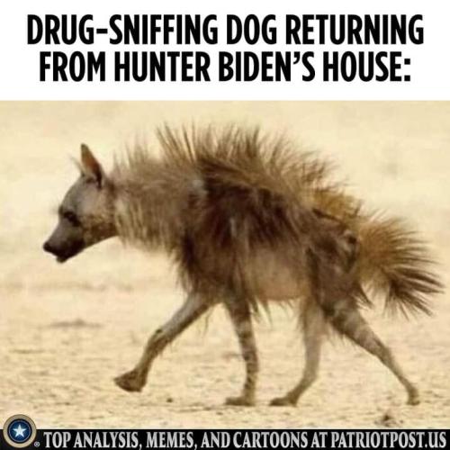 FB_IMG_1633799329232