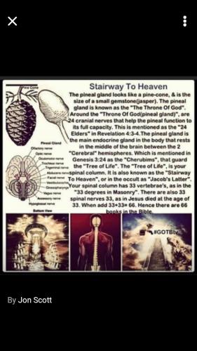 Screenshot_20211010-180012_Wimkin Uncensored