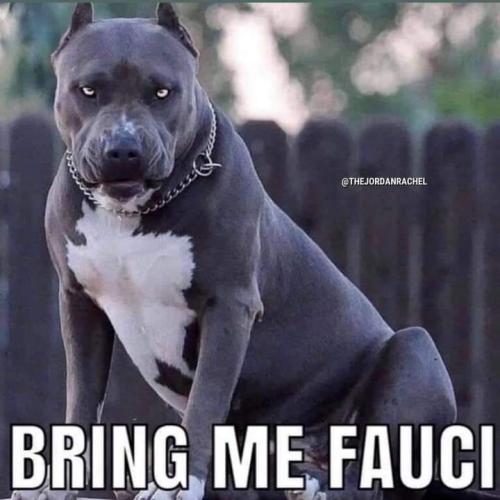 20:43:10 GMT-0400 (EDT)