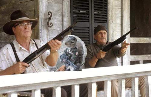 11:07:06 GMT-0400 (EDT)