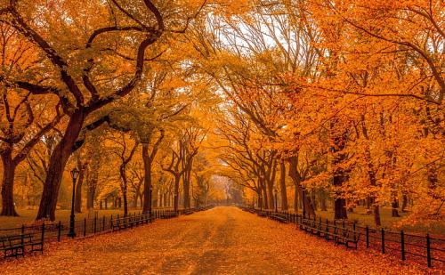 beautiful-autumn-landscapes-of-the-world-wallpaper-preview