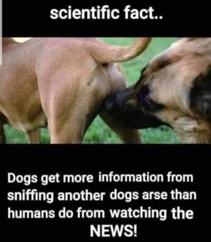 23:15:42 GMT-0500 (CDT)