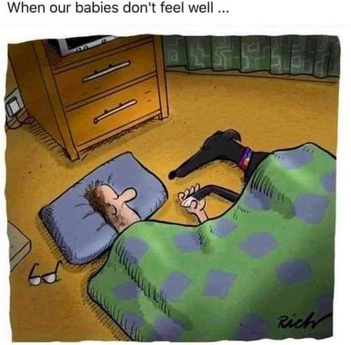 245998129_10162043054638079_6844884259498225866_n