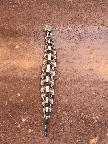 FB_IMG_1635358626157