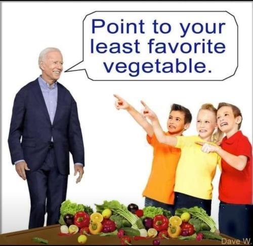 Screenshot_20210409-213058_Wimkin