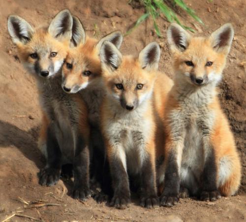 tumblr_mo4h78EJh41qzj93yo1_540