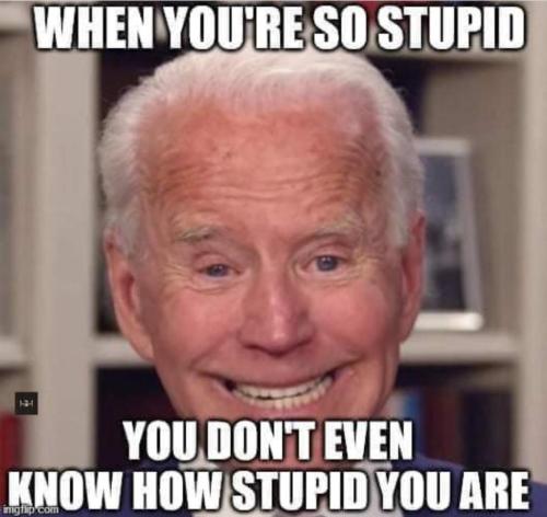 Screenshot_20211019-060859_Wimkin Uncensored