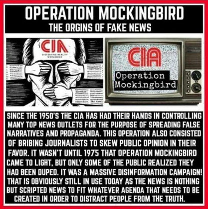 operation mockingbird01