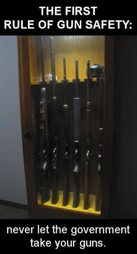 first rule of Gun Safety never let the government take your guns