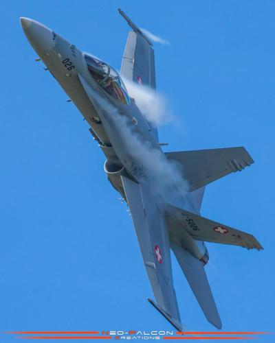 244127132_438579044503791_5003319496098900628_n