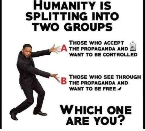 FB_IMG_1635372537519