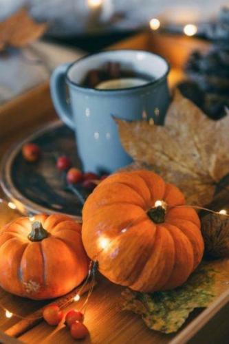 244367027_1531495660539865_7858643105795087156_n