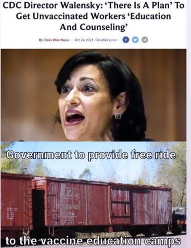 photo_2021-10-27_22-54-03