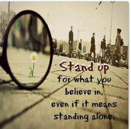 FB_IMG_1633963810361